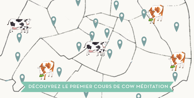 Ce que pensent les vaches : découvrez la Cow Meditation