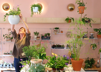 Profession : amie des plantes